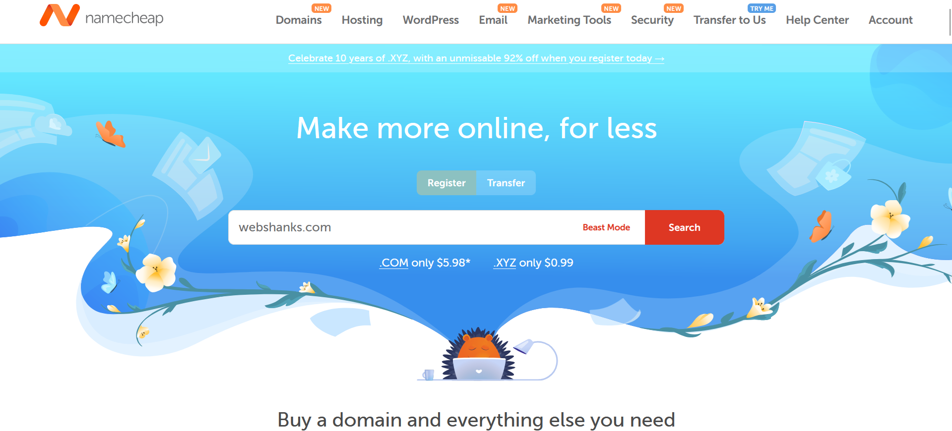 Buy a Domain on Namecheap Web Shanks