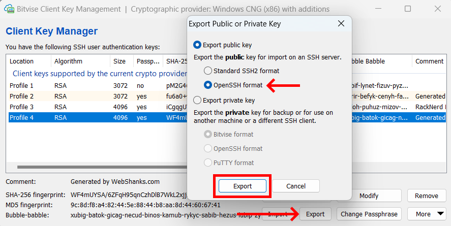 Bitvise Export Public Key