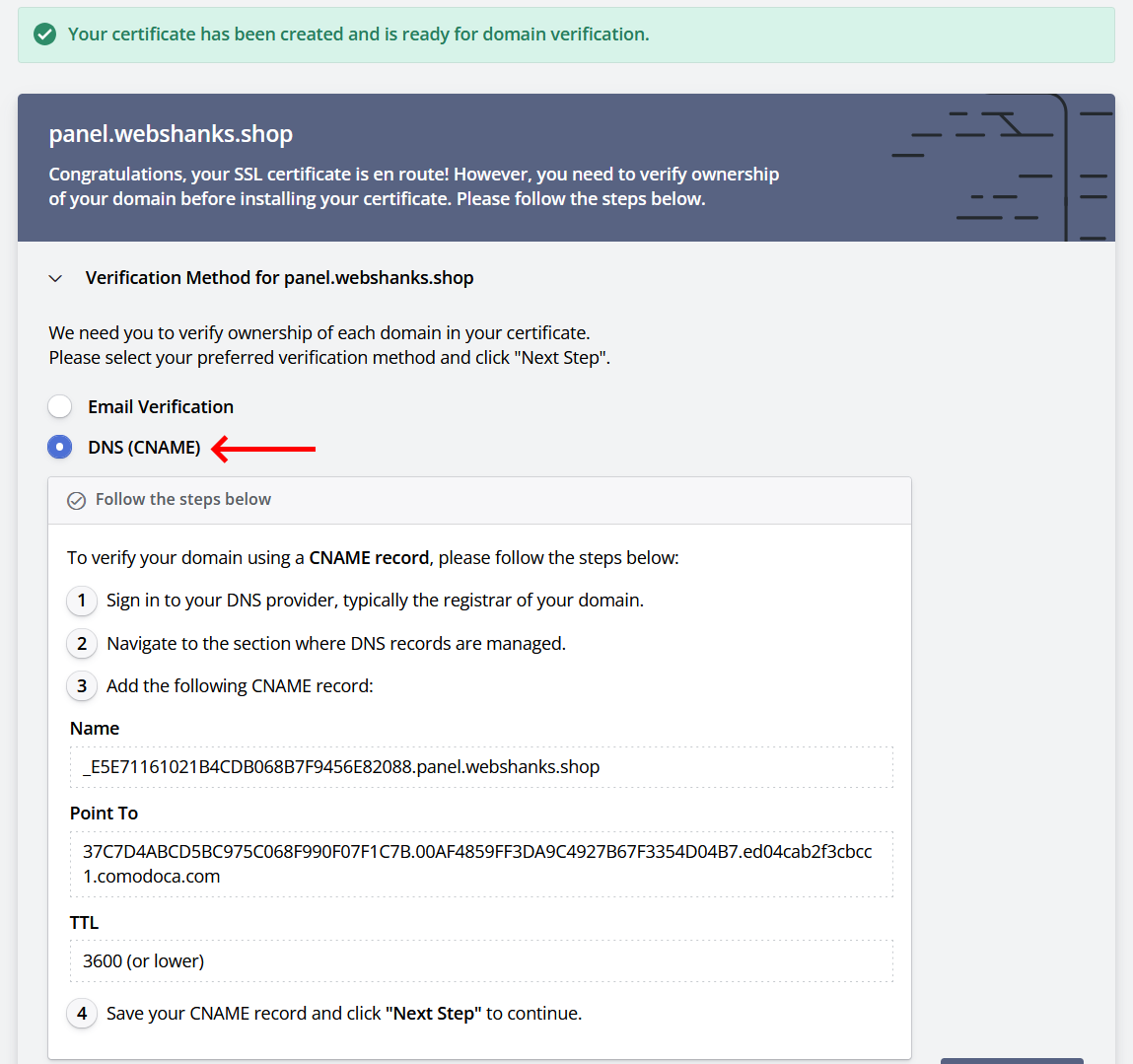 ZeroSSL Domain Verification