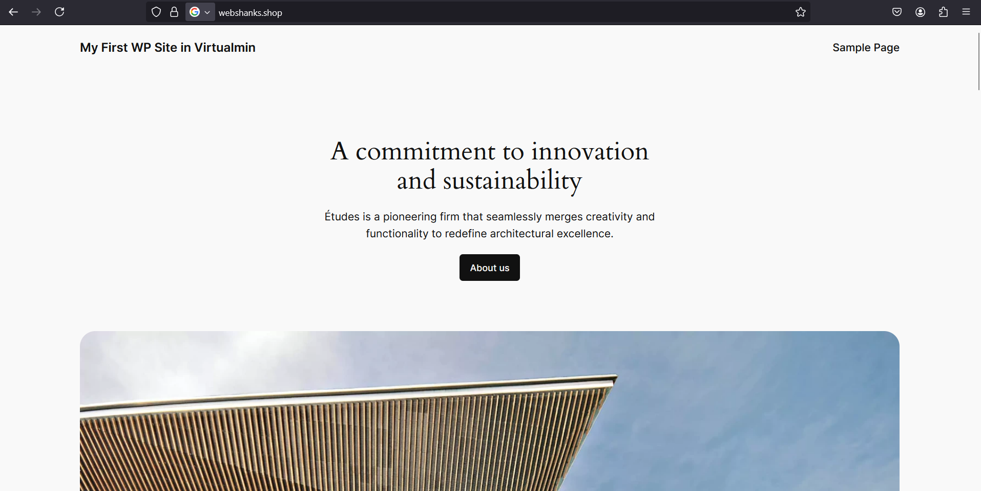 First WP Site in Virtualmin