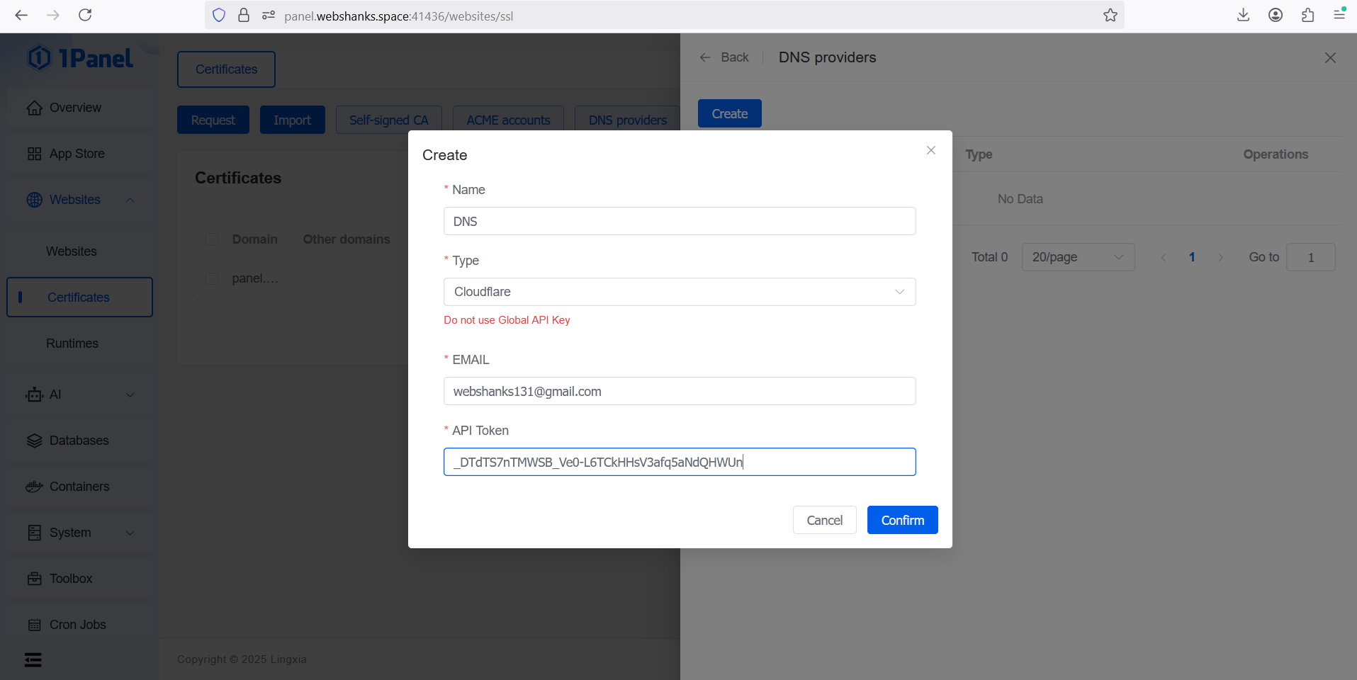 Cloudflare DNS 1Panel